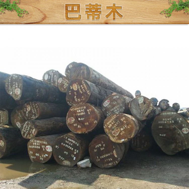 九鼎榧木巴蒂木木料加工厂抗老化防霉抗菌
