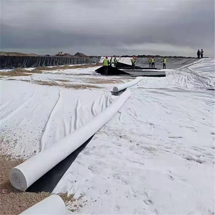 河道人工湖蓄水池大型水库复合土工膜