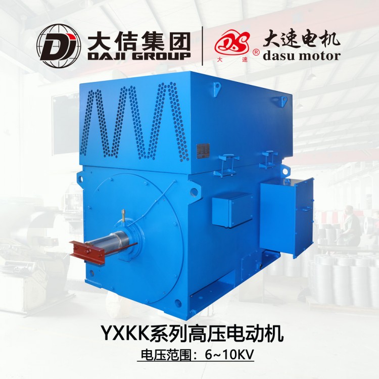 上海大速电机10KV 6KV YKK高压电机 防爆高压电机