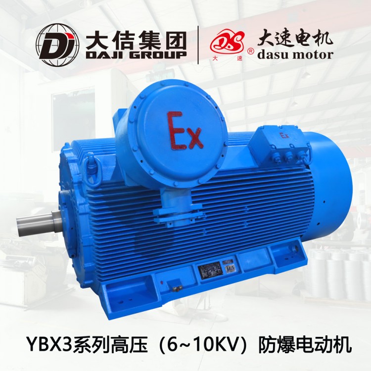 上海大速电机10KV/6KV高压电机高压防爆电机变频调速电机