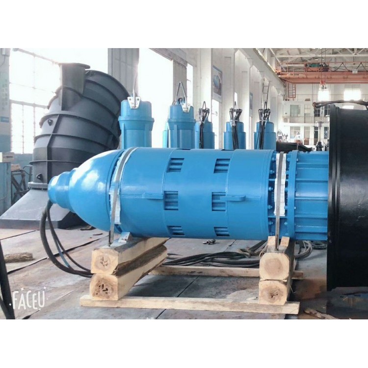 南京蓝深700ZQB-100潜水轴流泵井筒式安装