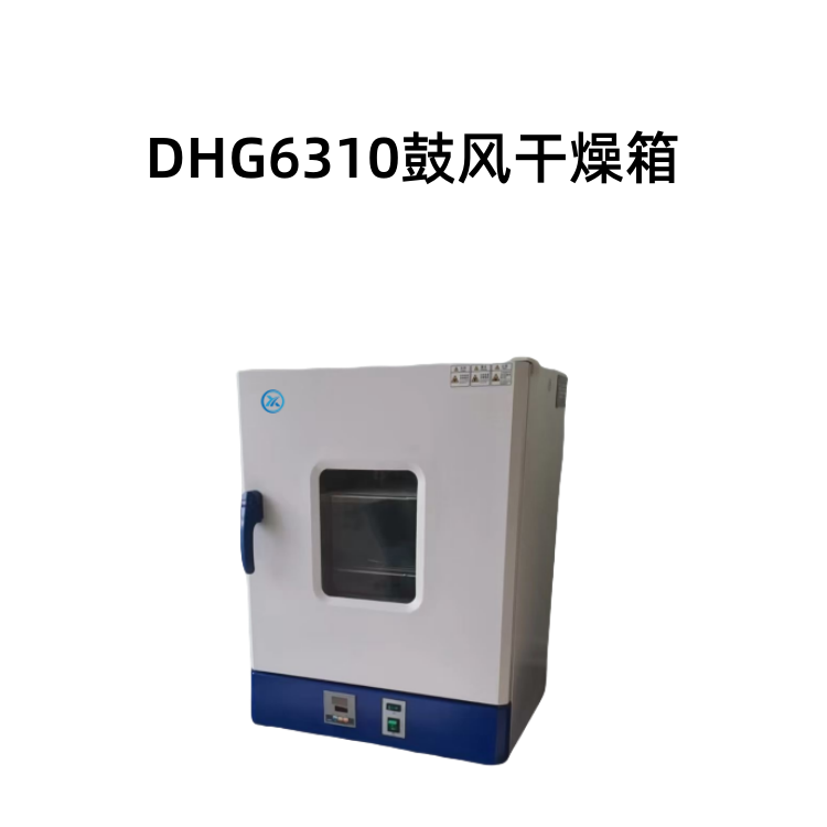 DHG6310鼓风干燥箱