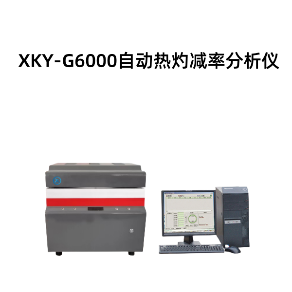 XKY-G6000自动热灼减率分析仪