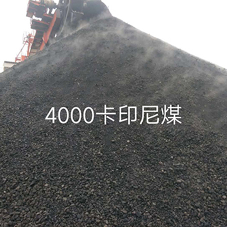 4000卡印尼煤