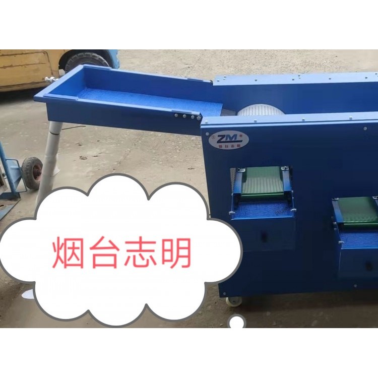 筛孔直径不伤果粉的蓝莓小型加工设备