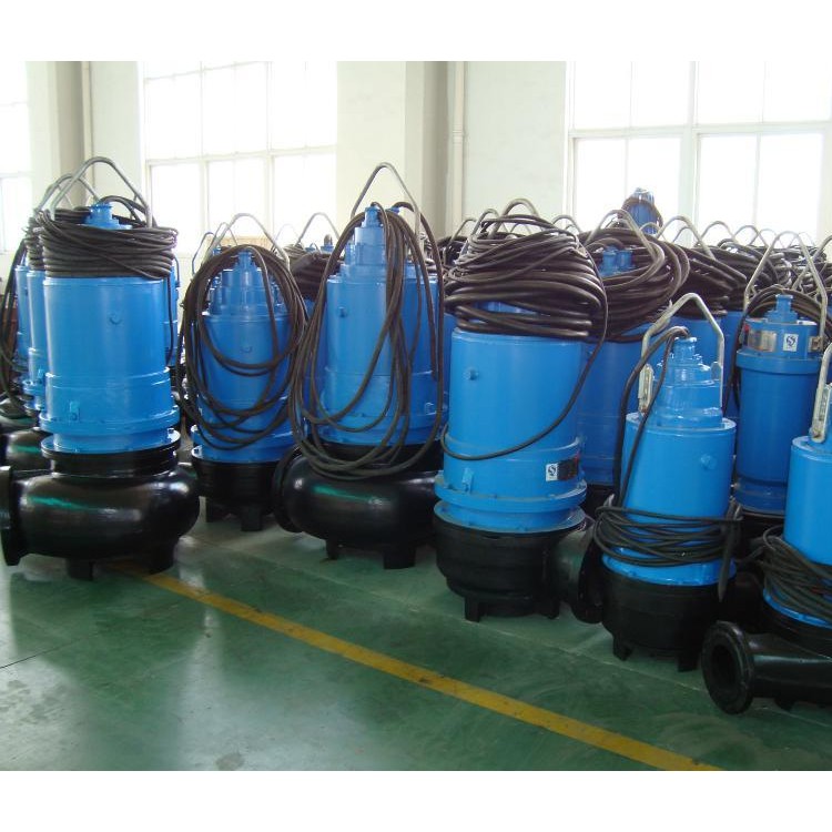 蓝深集团股份有限公司WQ100-22-15提升泵轨道式安装