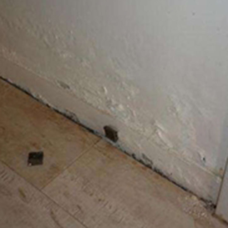 Basement moisture prevention