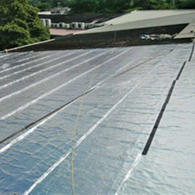Waterproofing and Leak Repair
