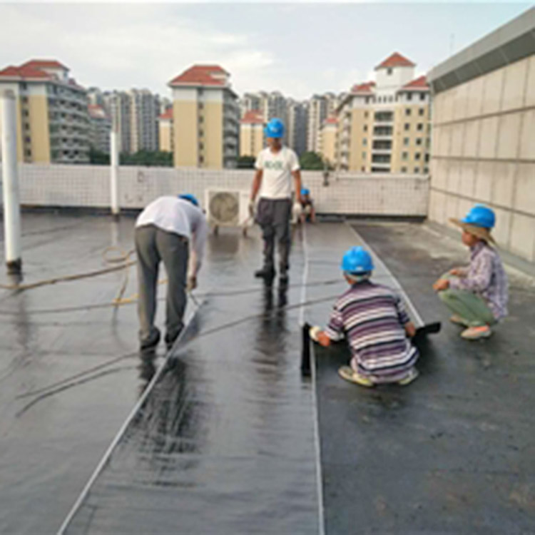 Waterproofing and Leak Repair