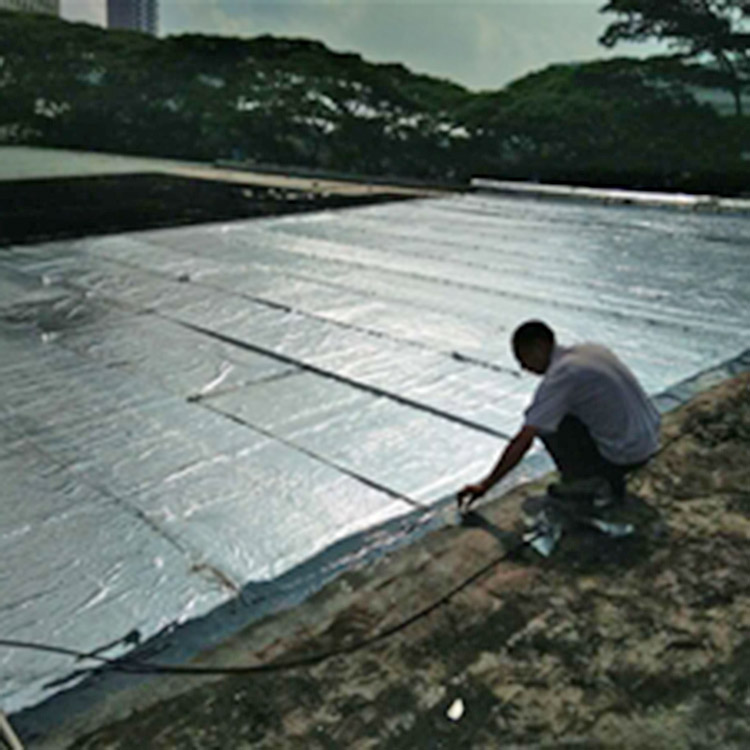 Waterproofing and Leak Repair
