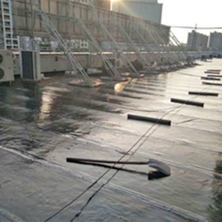 Waterproofing and Leak Repair