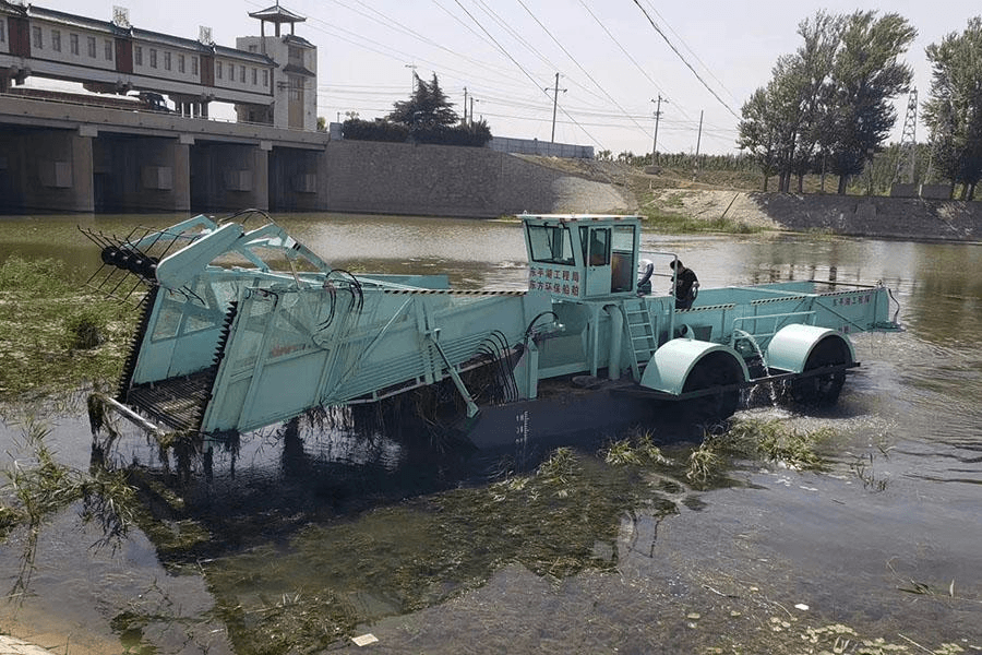 DF-LW120 Automatic Reed Harvester