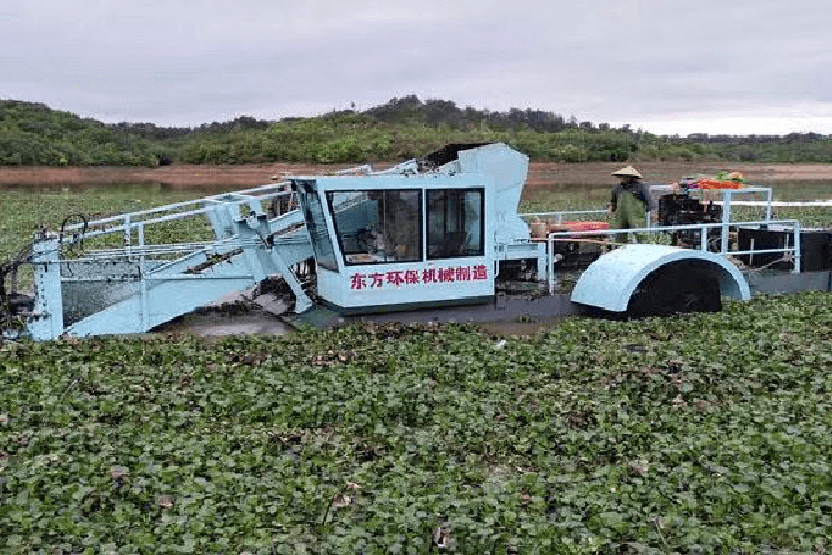 Water Hyacinth Harvesting and Crushing Vessel