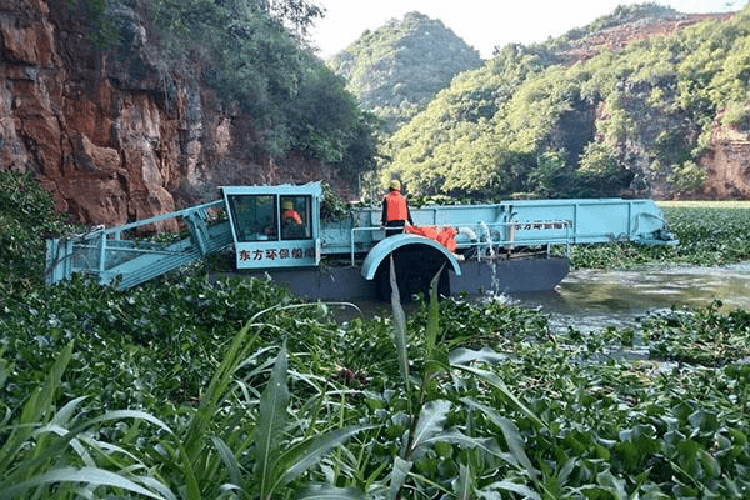 DFSHL60 Automatic Water Hyacinth Harvester Boat