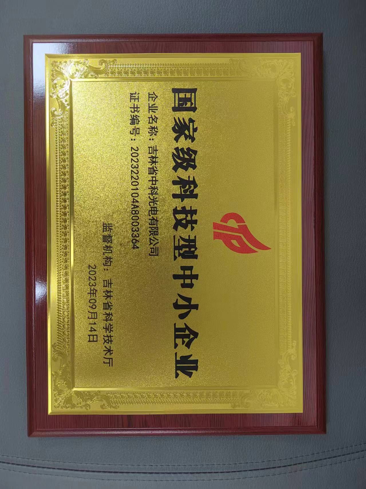 科技型中小企业