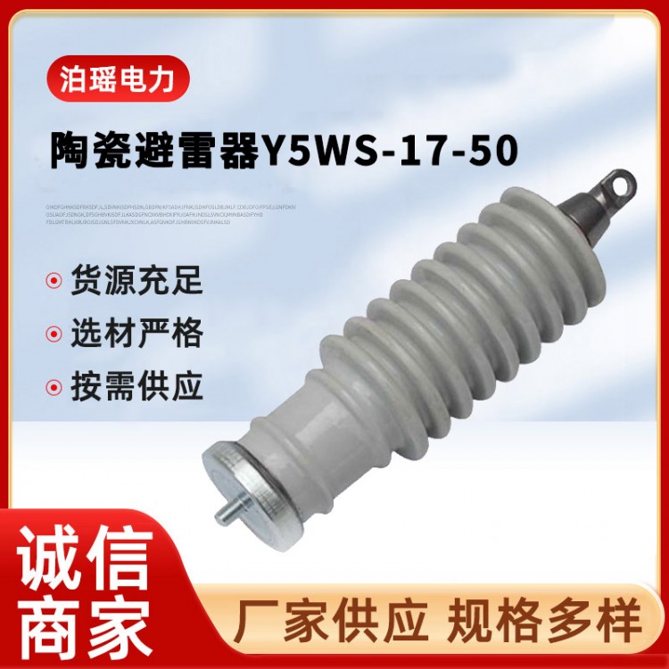陶瓷避雷器Y5WS-17-50