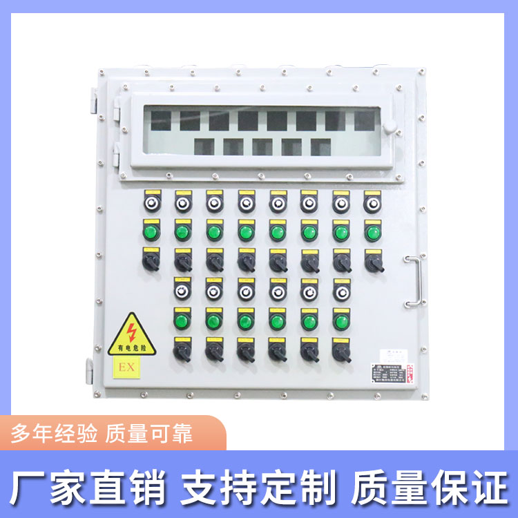 防爆仪表箱