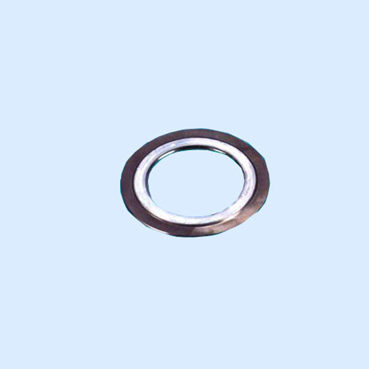 Coated Sealing Gasket