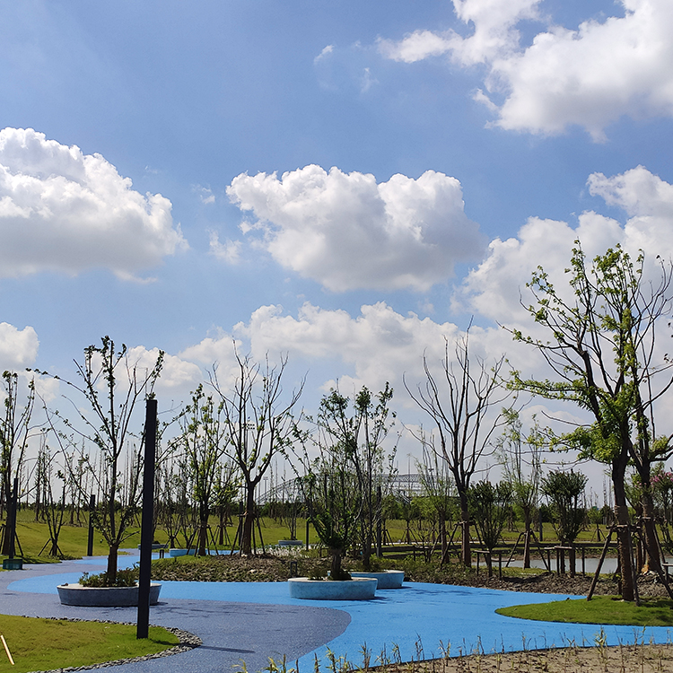 上海海洋大学长宁区透水混凝土案例