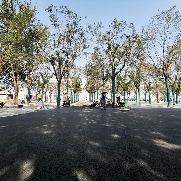 河北邯郸园博园长宁区透水混凝土案例