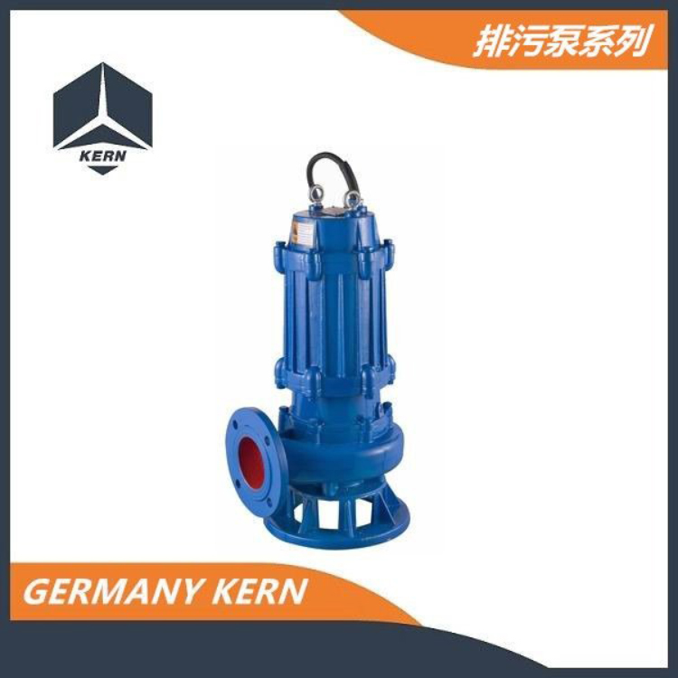 进口潜水排污泵