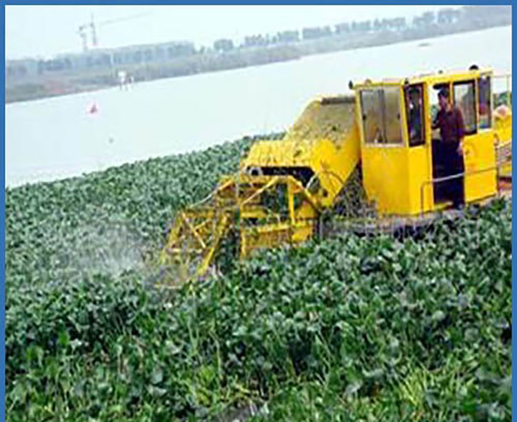 Water Surface Mowing Boat - Customizable