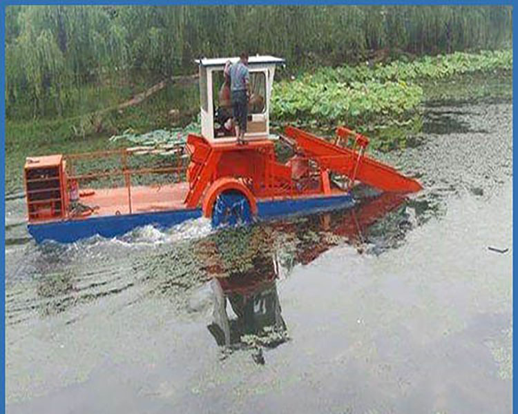 Highly mechanized water-surface grass cutter