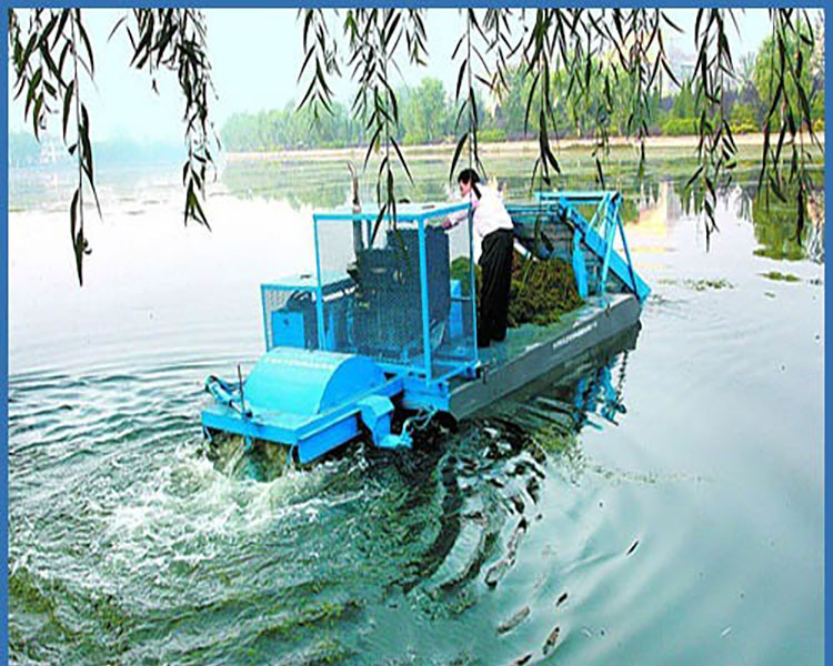 Automated Grass Boat