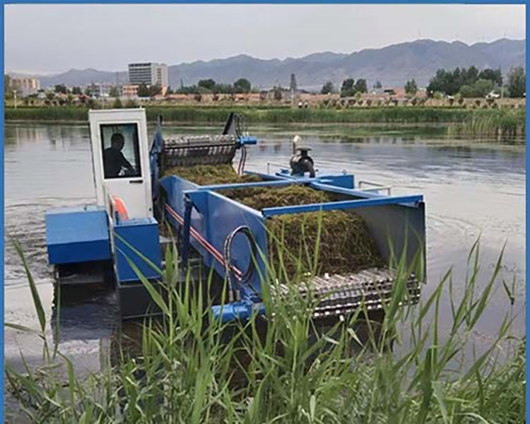 自动割草船 水产养殖河道清理船