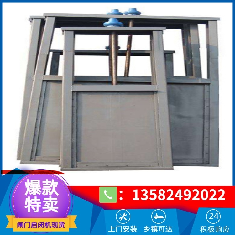 机闸一体闸门 厂家供应  量大优惠
