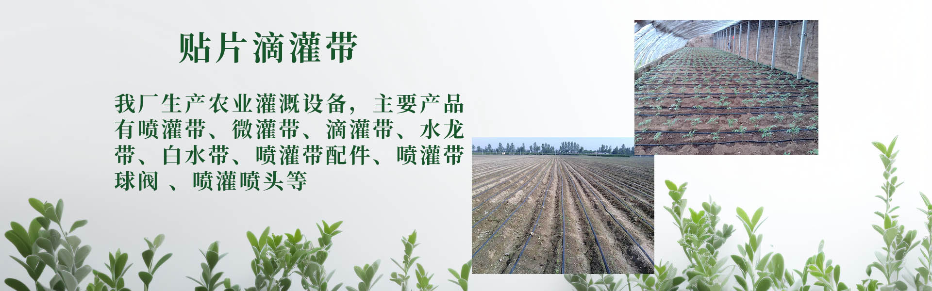 Jin Haiyu Micro Sprinkler Tape Factory in Qingzhou