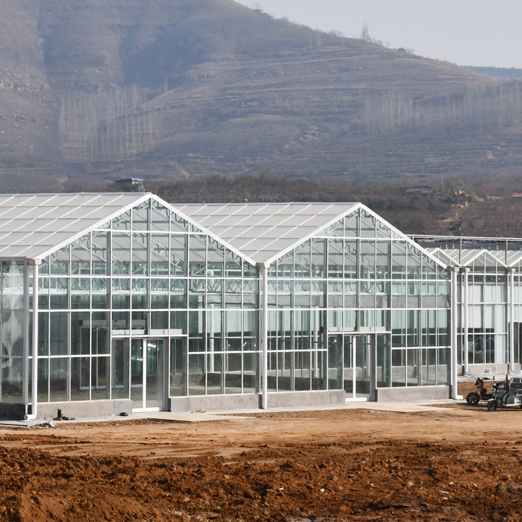 智能玻璃温室大棚农业种植养殖蔬菜大棚带内外遮阳