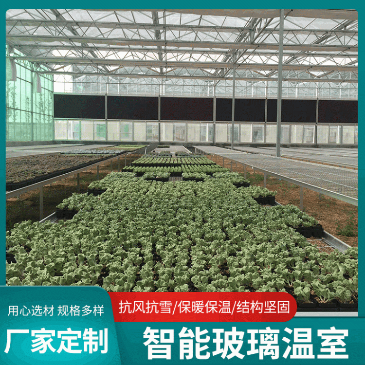 鑫泽农业定制智能玻璃温室大棚 农业种植养殖蔬菜大棚