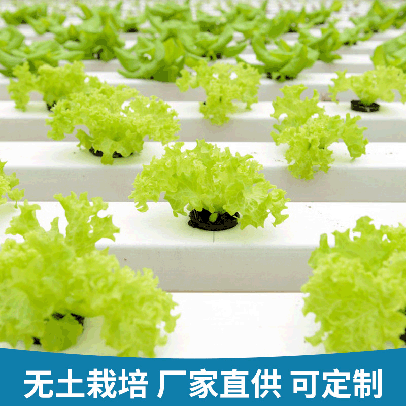 水果蔬菜种植槽栽培槽无土基质槽 PVC种植槽