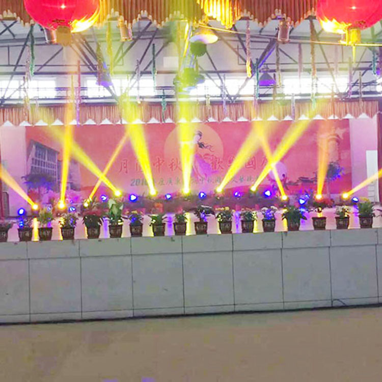 广东理文造纸有限公司演出