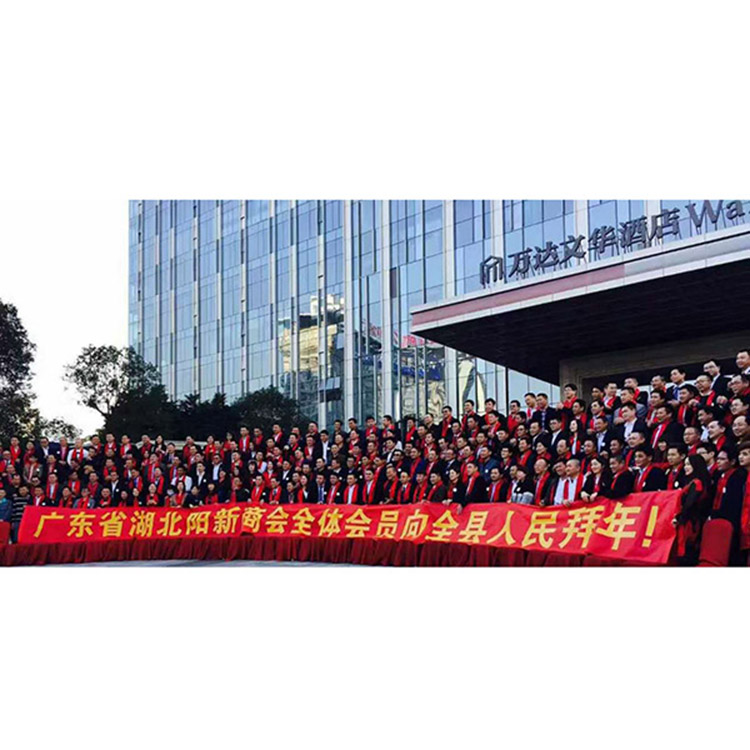 广东省湖北阳新商会迎春晚会