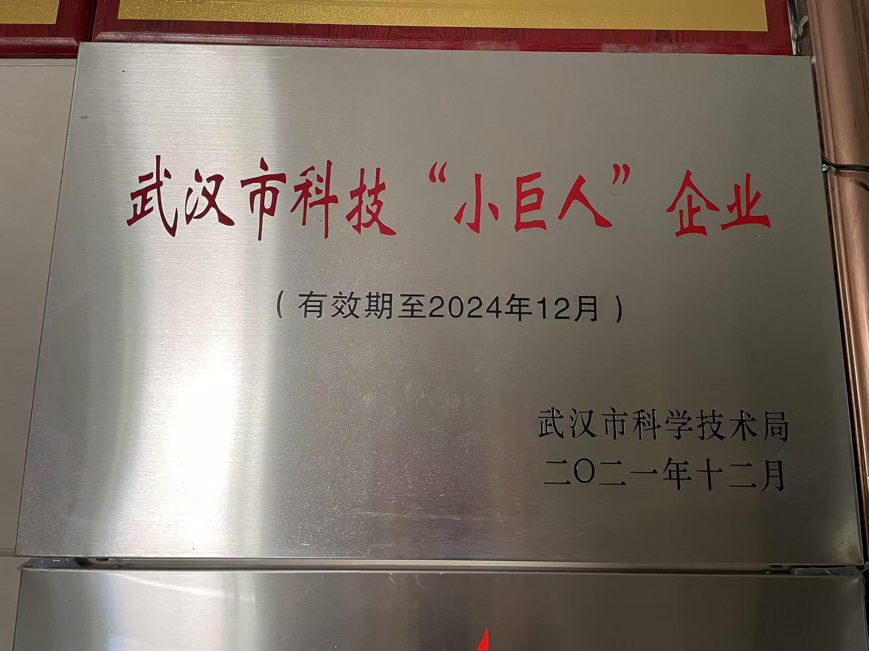 武汉市科技小巨人企业