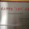 武汉市科技小巨人企业