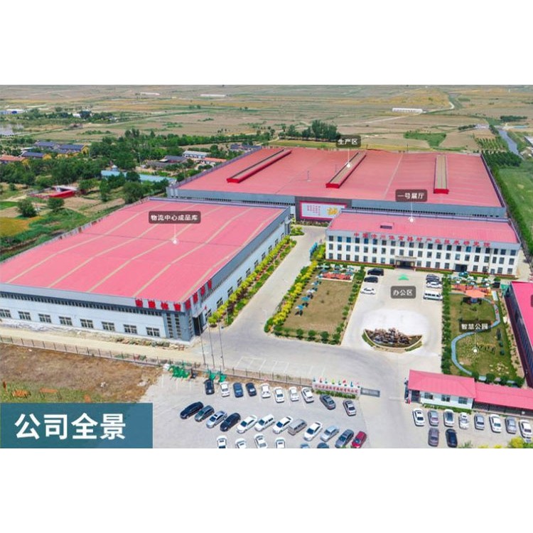 公司全景
