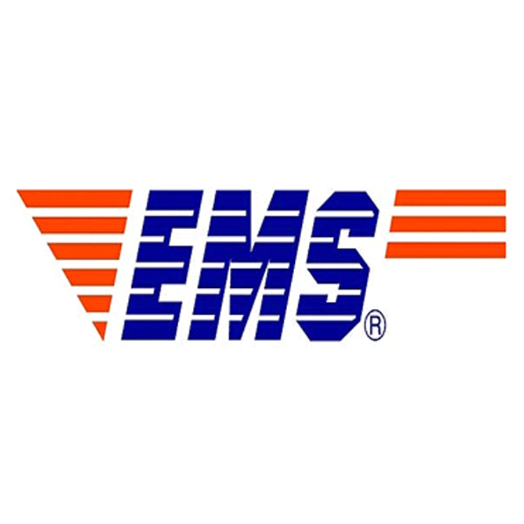 Express Mail Service