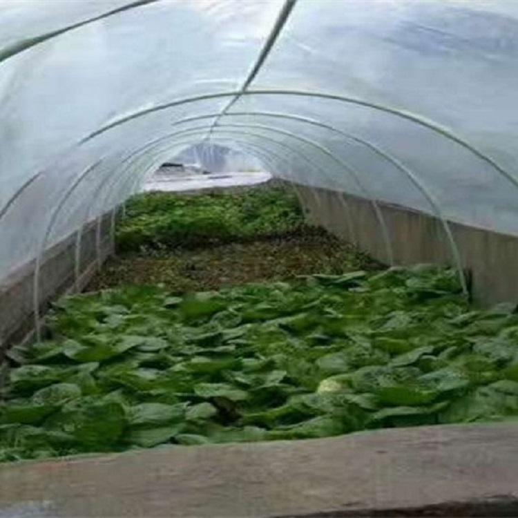 拱棚用玻璃纤维棒1mm-100mm规格齐全 玻璃纤维杆