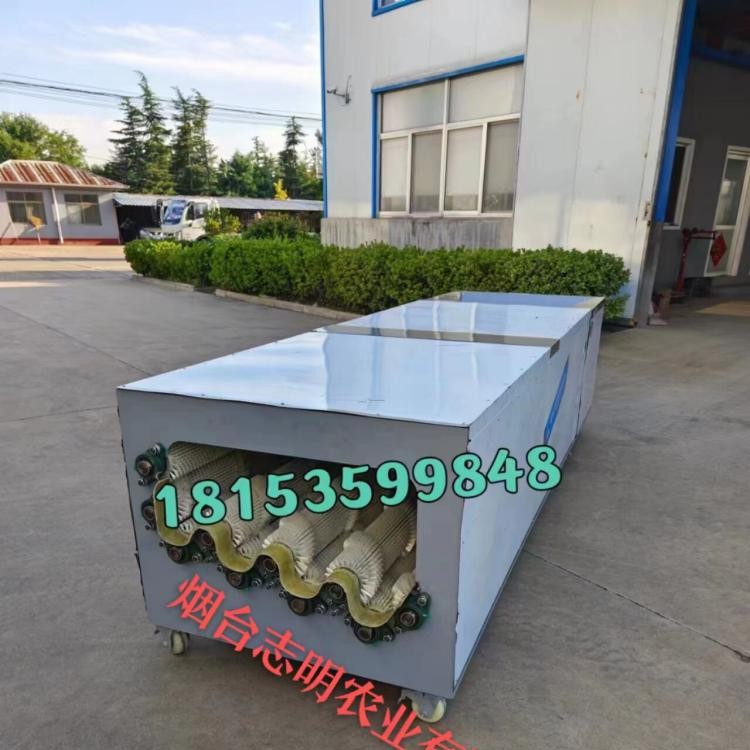 河南全自动毛辊喷淋式胡萝卜洗果机厂家现货