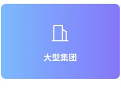 大型集团