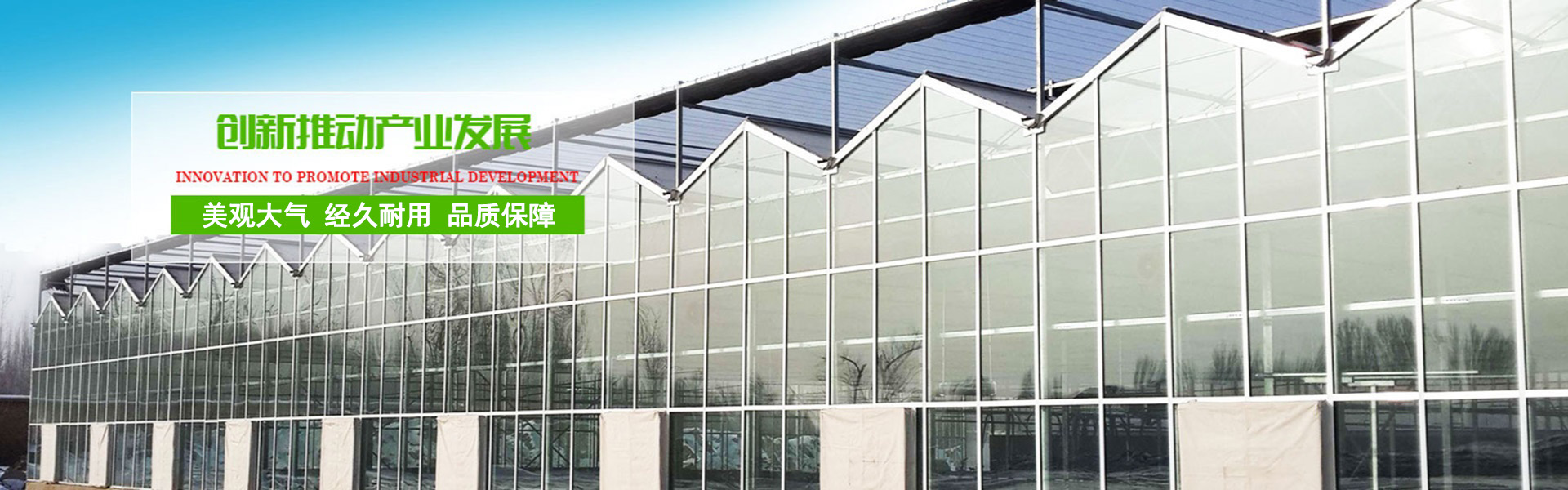 Qingzhou Shengqiang Greenhouse Technology Engineering Co., Ltd.