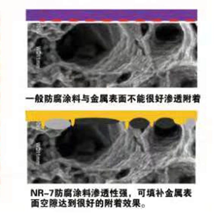 NR-7SY氟硅防腐涂料（专利产品）（单组分）