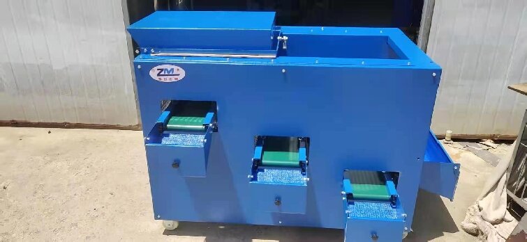 Featured Blueberry Sorting Machine Manufacturer Model