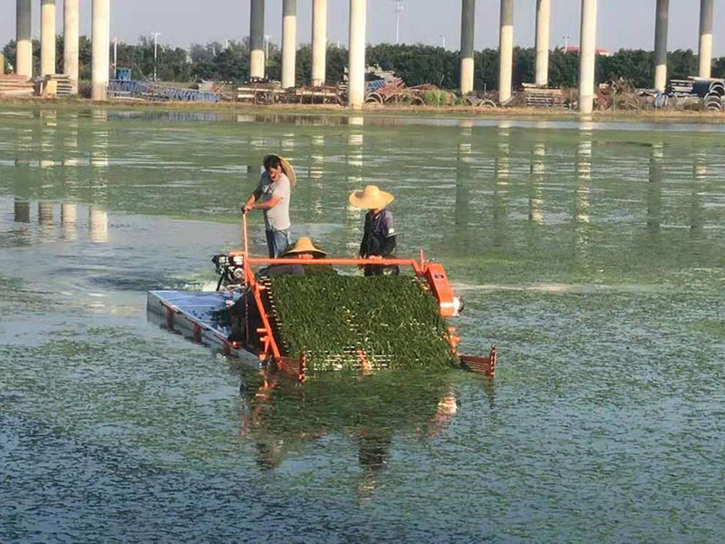 简易泡沫割草船 可降低劳动强度 多种款式可选