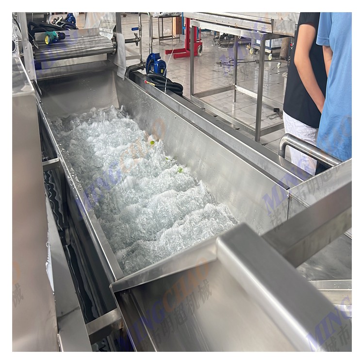 鲜茶树菇清洗流水线高效清洗应用场景广泛
