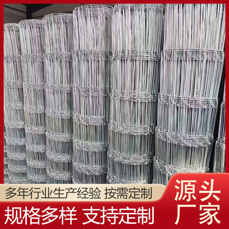圈养牛马羊围栏 防护网 牛栏网 多规格