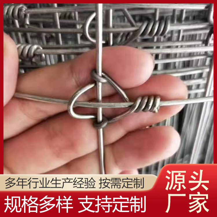 草原编结网 缠绕型牛栏网 网围栏 多种规格